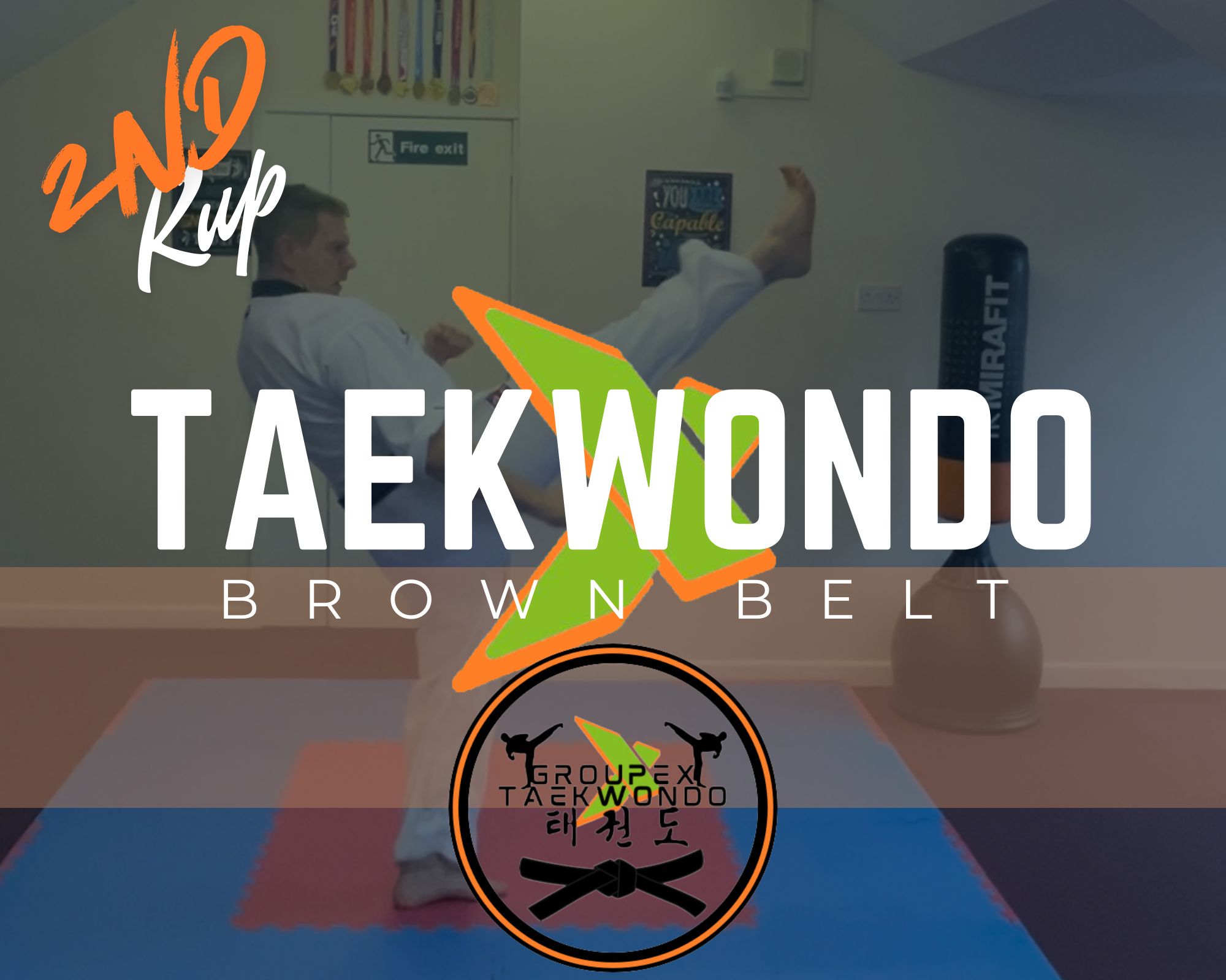 GroupEx Taekwondo Brown Belt